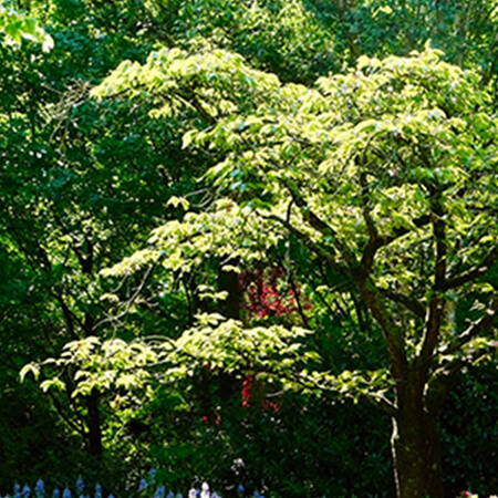 澤音伊藤造園株式会社の施工事例